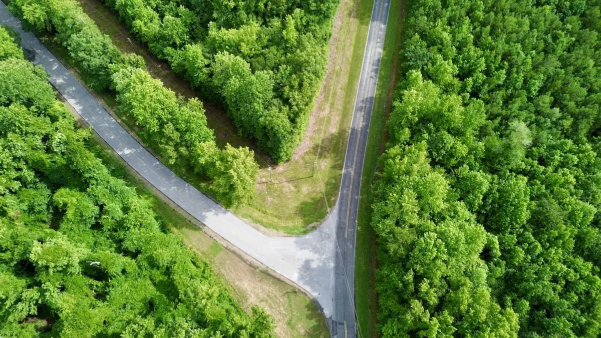 Aerial view of a road splitting into two through a green forest